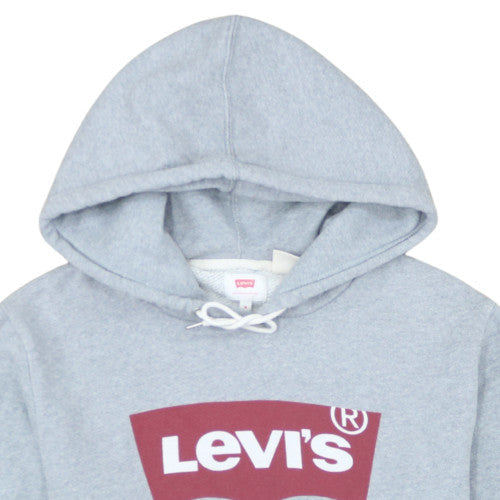 Levi's Men's Grey Logo Pullover Hoodie Size M
