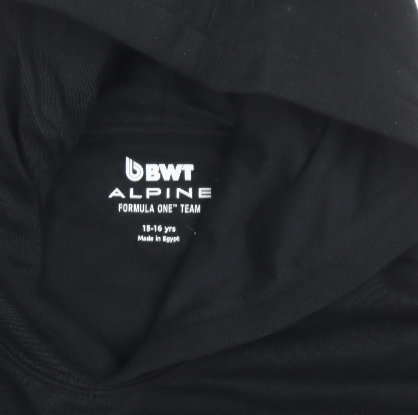 BWT Alpine Formula One Team Boys Black Pullover Hoodie 15-16 Years