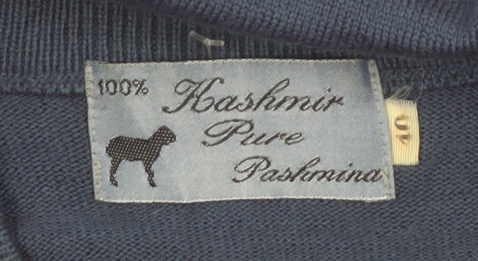 Kashmir Pure Pashmina Men's Blue V-Neck Cashmere Jumper S