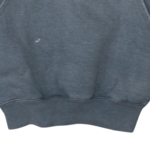Carhartt Men's Grey XS Pullover Hoodie with Logo Sleeve