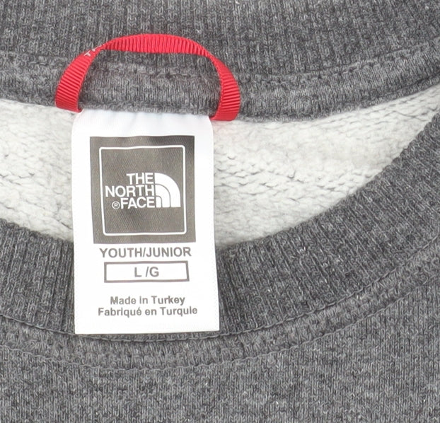 Additional view of The North Face boys’ grey pullover fleece sweatshirt l graphic logo