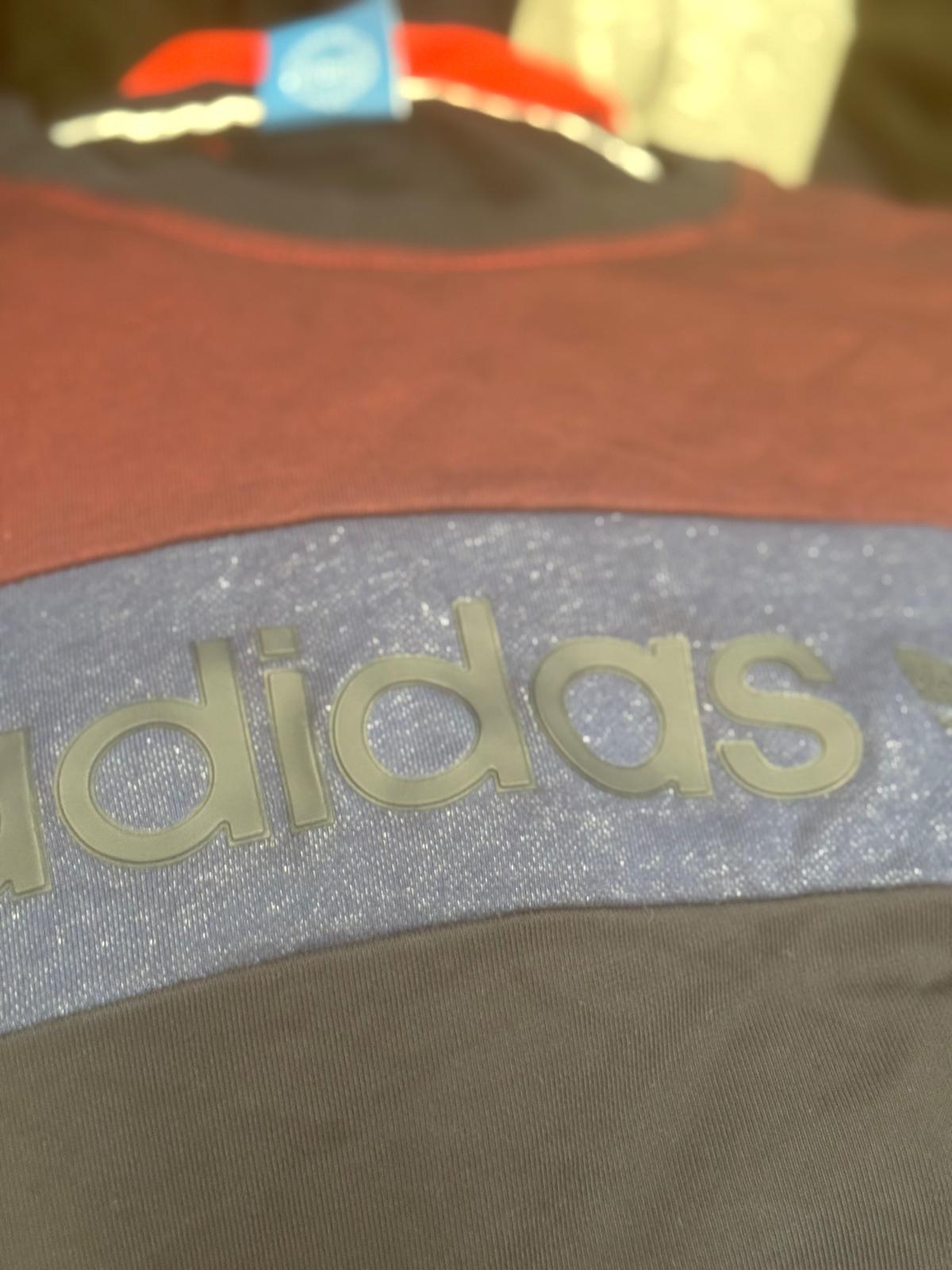 High Branded Mixed Sizes Mens Hoodies 10 Pack