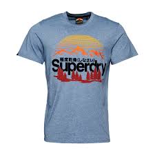 Superdry Clothing Bundle – 5 Pack Preloved Womens T Shirts