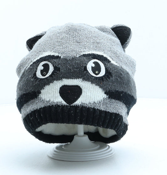 Preworn Boys Grey Acrylic Beanie One Size - Racoon