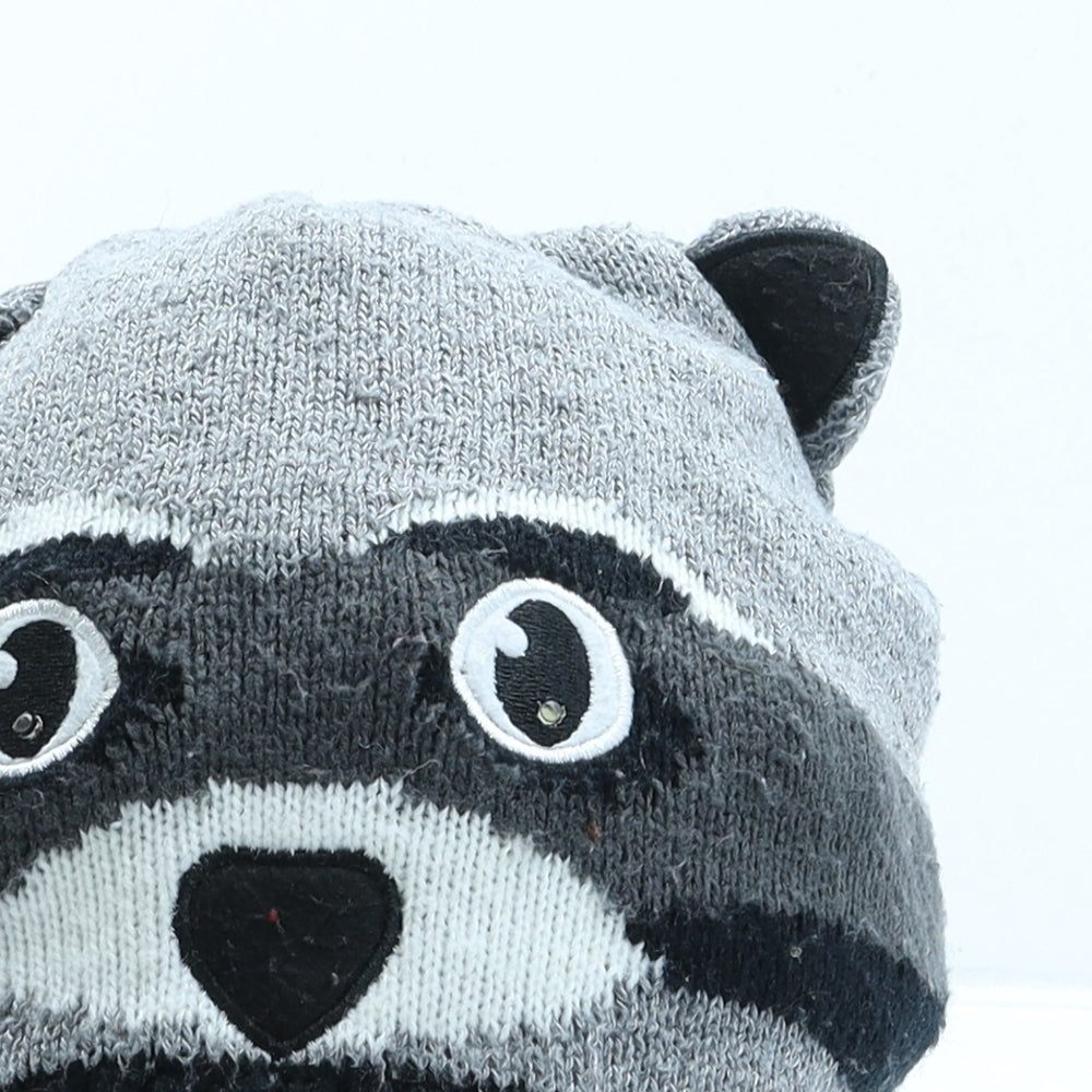Preworn Boys Grey Acrylic Beanie One Size - Racoon