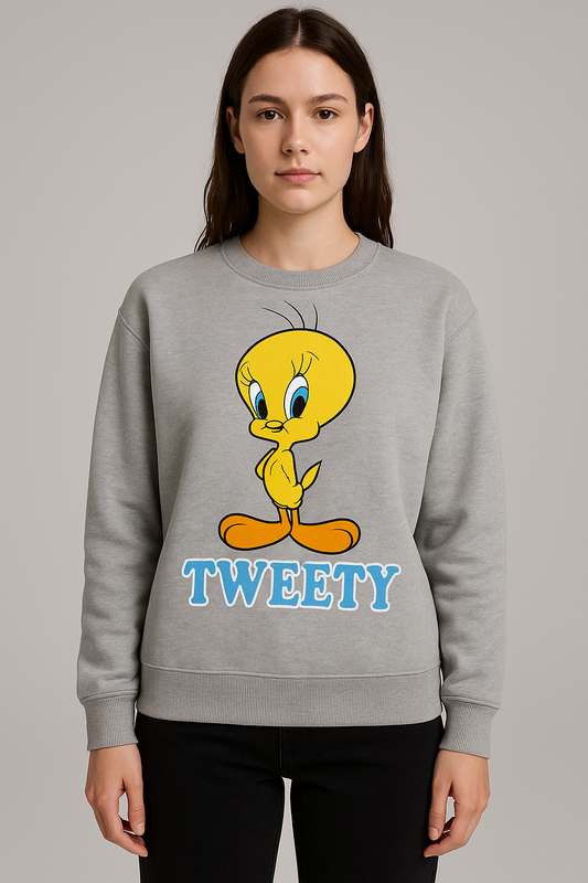 Looney Tunes Clothing Bundle - 5 Pack Preloved Womens Hoodies & Sweats