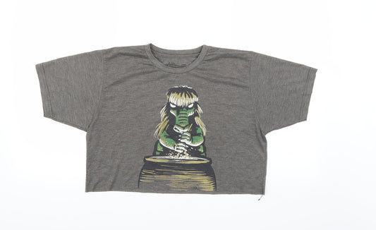 adrians Womens Grey   Cropped T-Shirt Size M