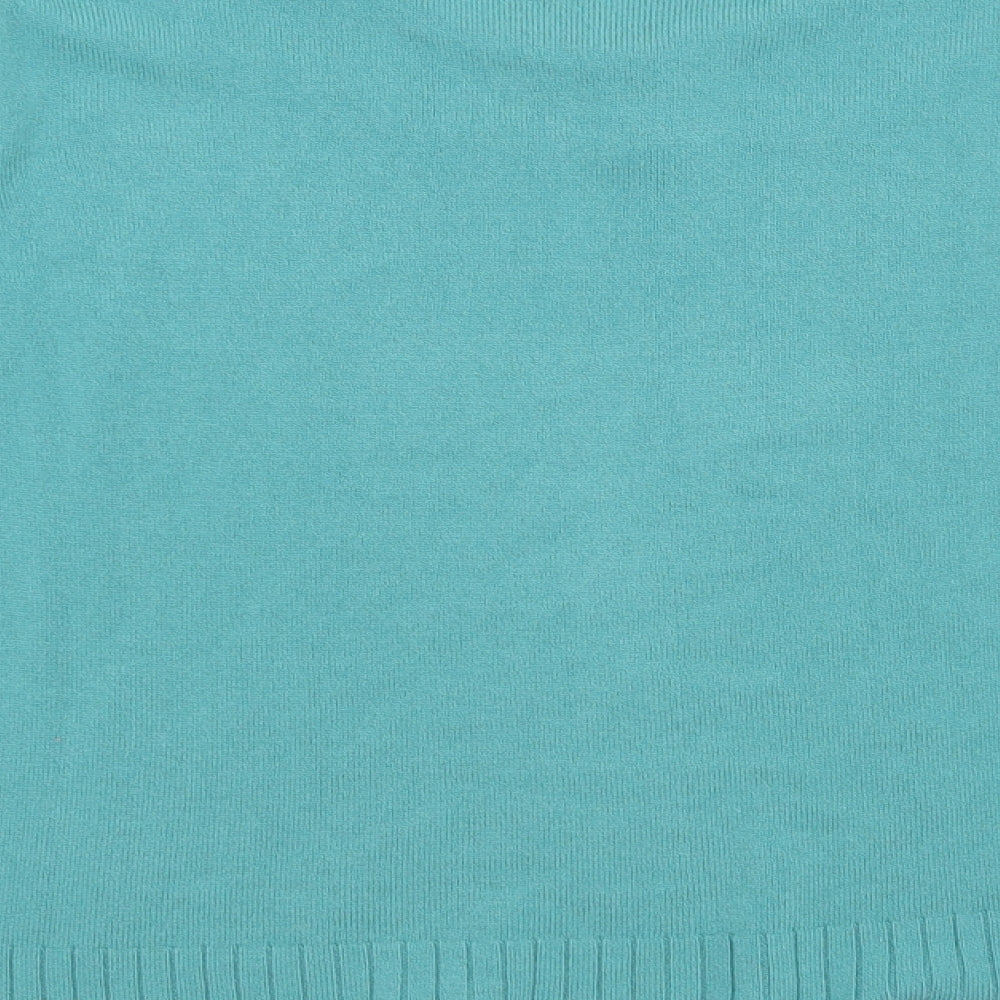 Preworn Womens Blue   Pullover Jumper Size 2XL