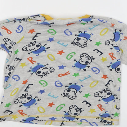 Brand and care label for Peppa Pig girls’ multicoloured pullover casual, size 2-3, years