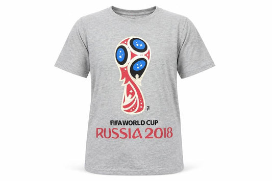 Front view of Preworn boys’ grey basic t-shirt, size 12-13, years - fifa world cup