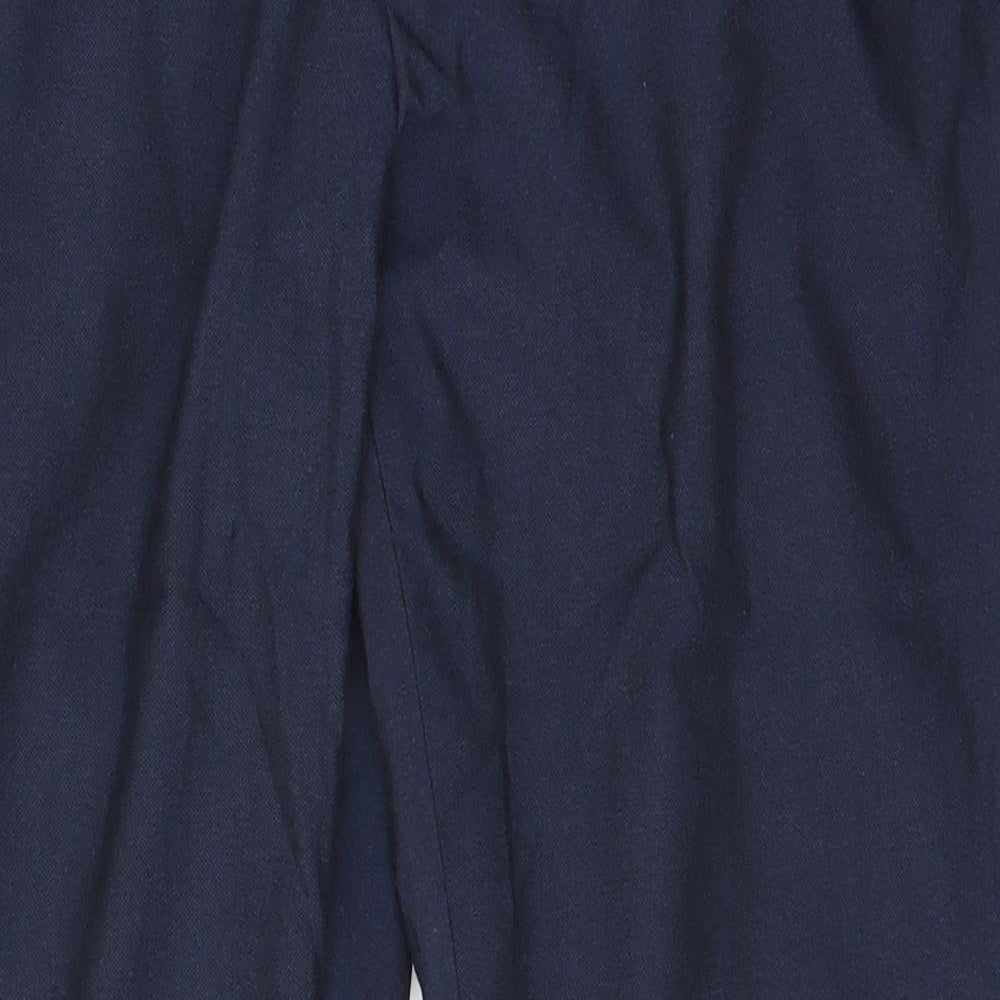 Cedar Wood State Mens Blue   Dress Pants Trousers Size M L27 in