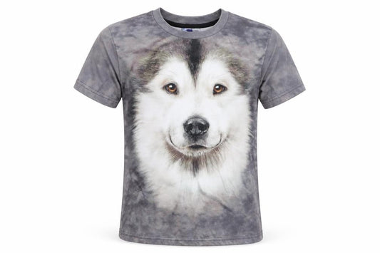 Front view of miss go boys’ grey basic t-shirt, size S