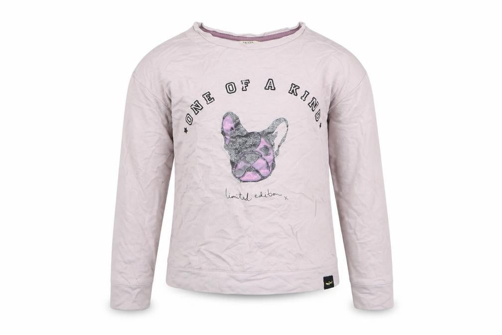 River Island Girls Pink  Jersey Pullover Sweatshirt Size 4-5 Years  - Pug