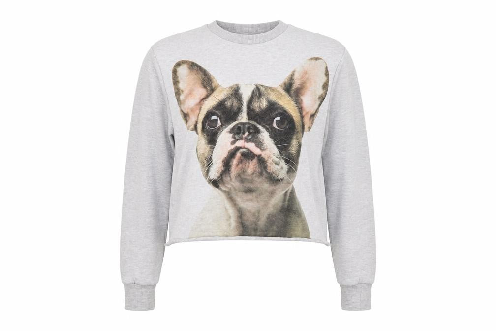 H&M Womens Grey   Pullover Sweatshirt Size 6  - Dog Pug
