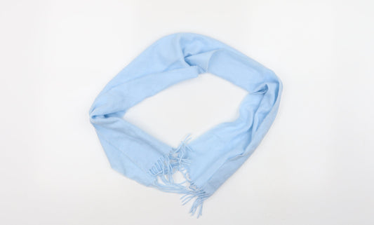Preworn Womens Blue    Scarf
