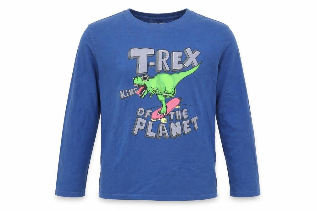 Zara Boys Blue   Basic T-Shirt Size 10-11 Years  - t-rex