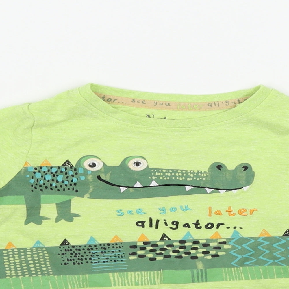 Nutmeg  Green   Basic T-Shirt Size 18-24 Months  - alagator