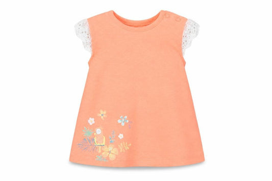 Nutmeg Girls Orange   Basic T-Shirt Size 3-6 Months