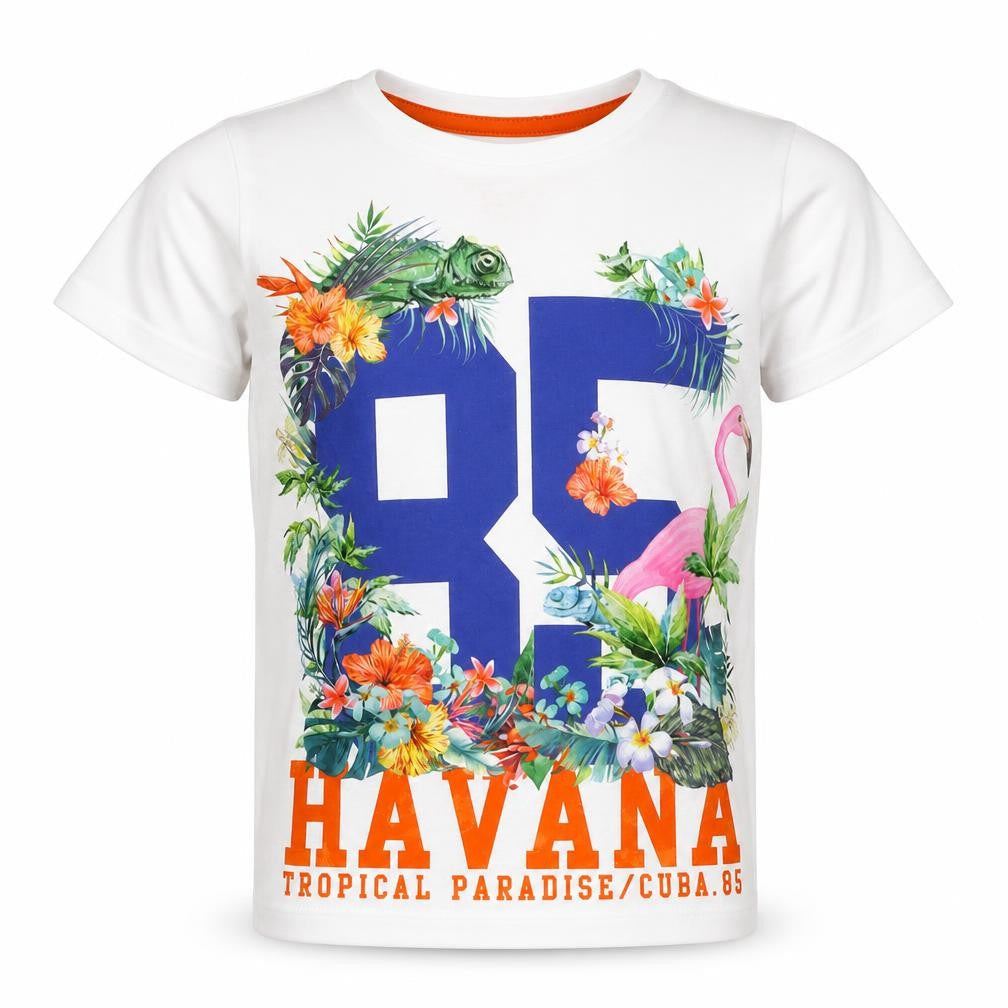 Matalan Girls White   Basic T-Shirt Size 5 Years