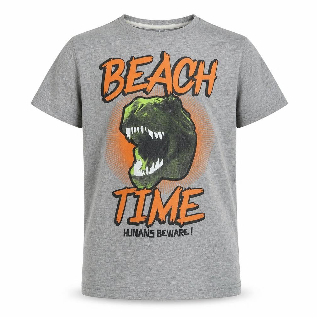 Rebel Boys Grey   Basic T-Shirt Size 9-10 Years  - Dinosaur