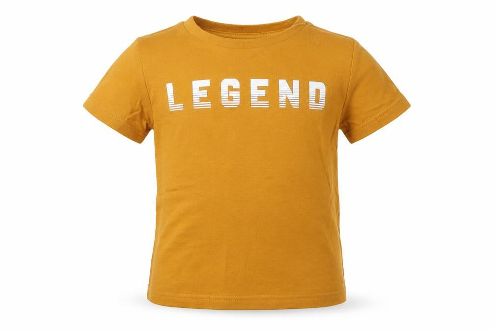 River Island Boys Brown   Basic T-Shirt Size 9-12 Months  - Legend