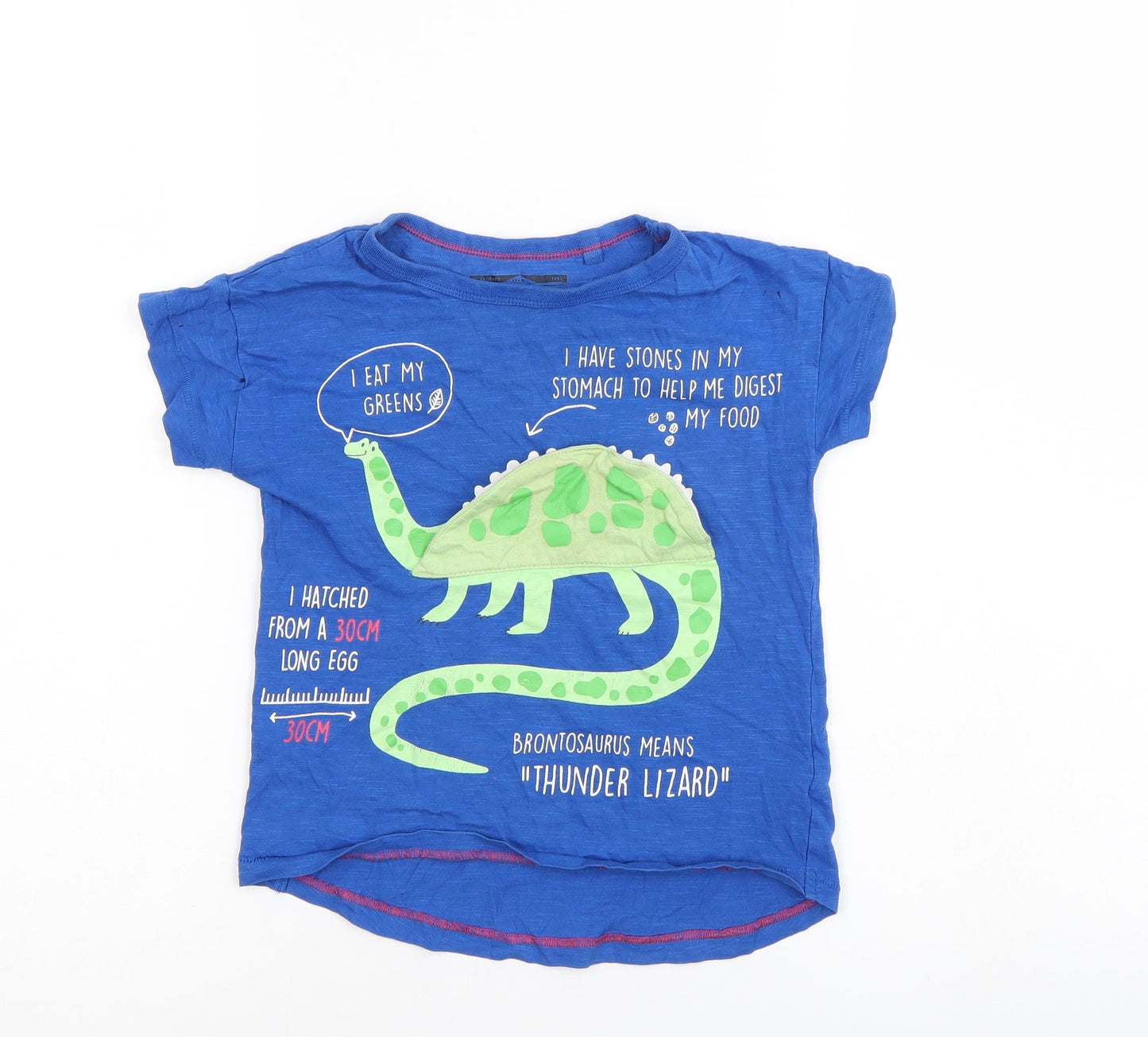 NEXT Boys Blue   Basic T-Shirt Size 2-3 Years