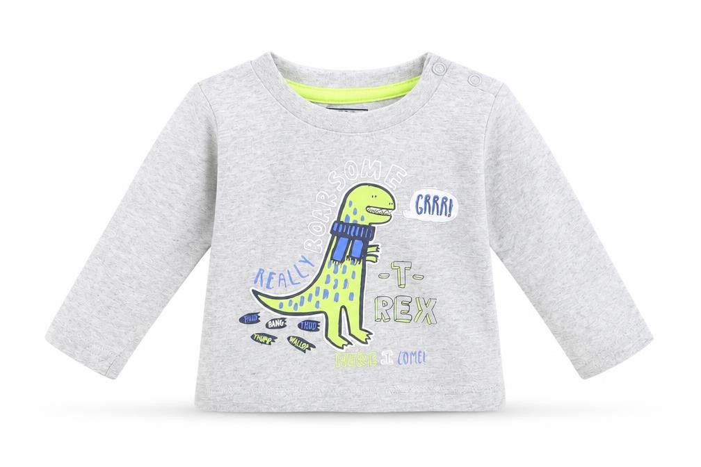 Earlydays Boys Grey   Basic T-Shirt Size 3-6 Months  - T-Rex
