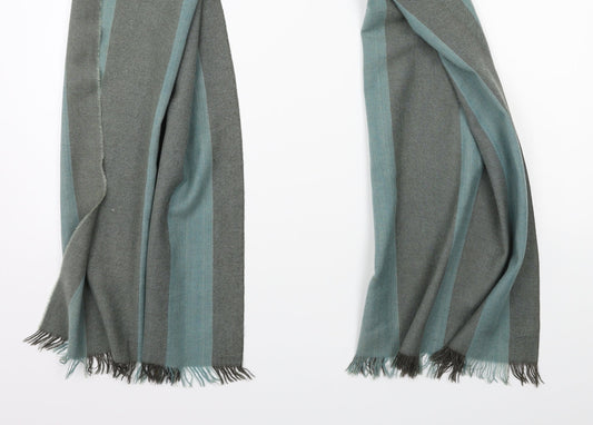 Preworn Womens Blue    Scarf