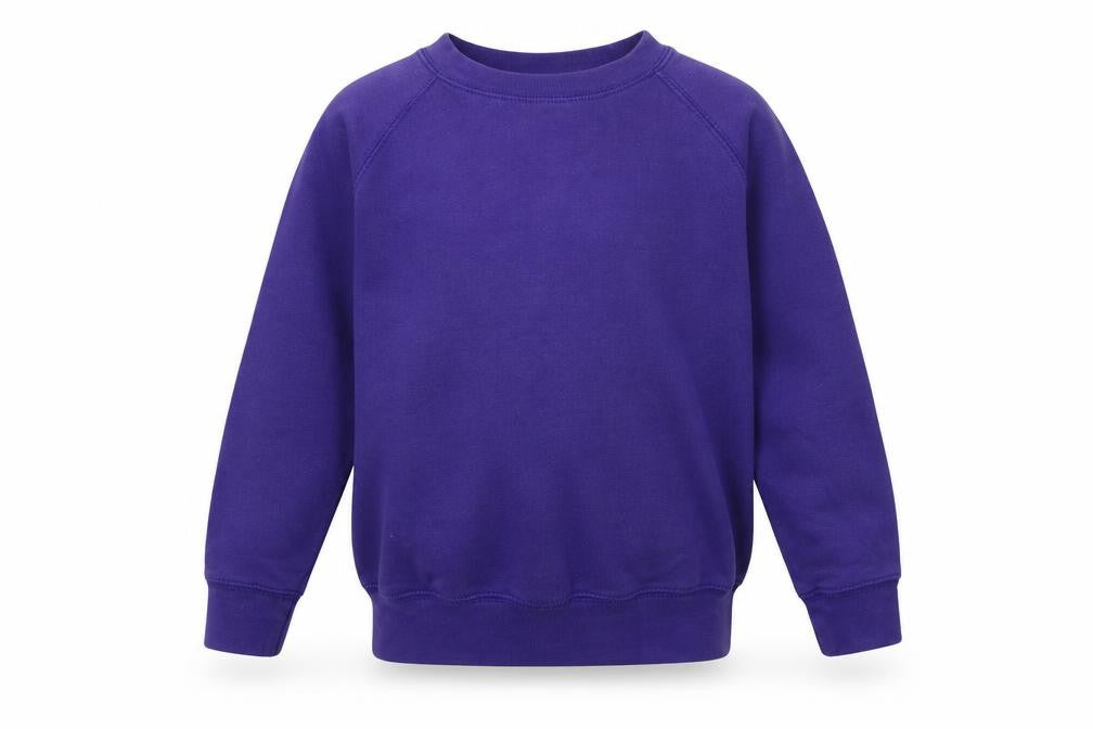 westex Boys Purple   Pullover Sweatshirt Size 5-6 Years