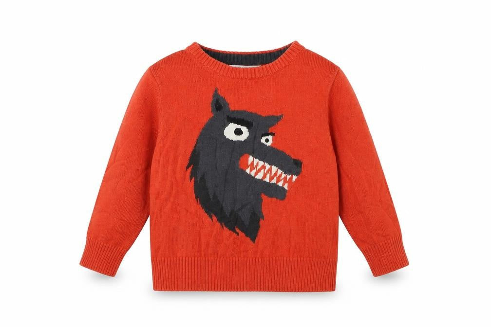 H&M Baby Orange   Pullover Jumper Size 12-18 Months