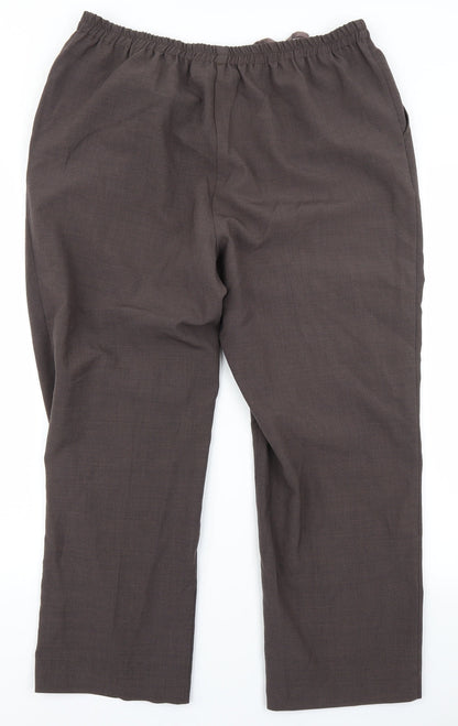 Preworn Womens Brown   Trousers  Size 20 L24 in