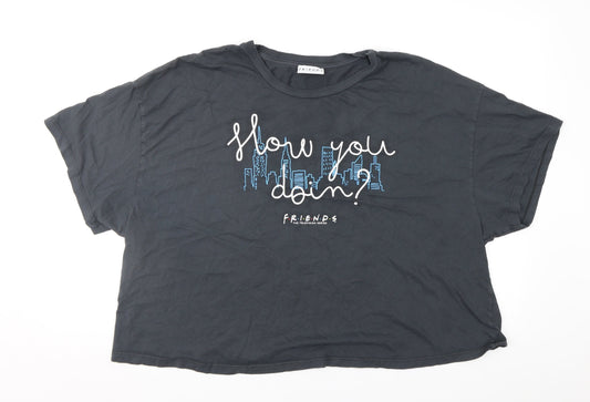 Friends Womens Grey   Cropped T-Shirt Size 20