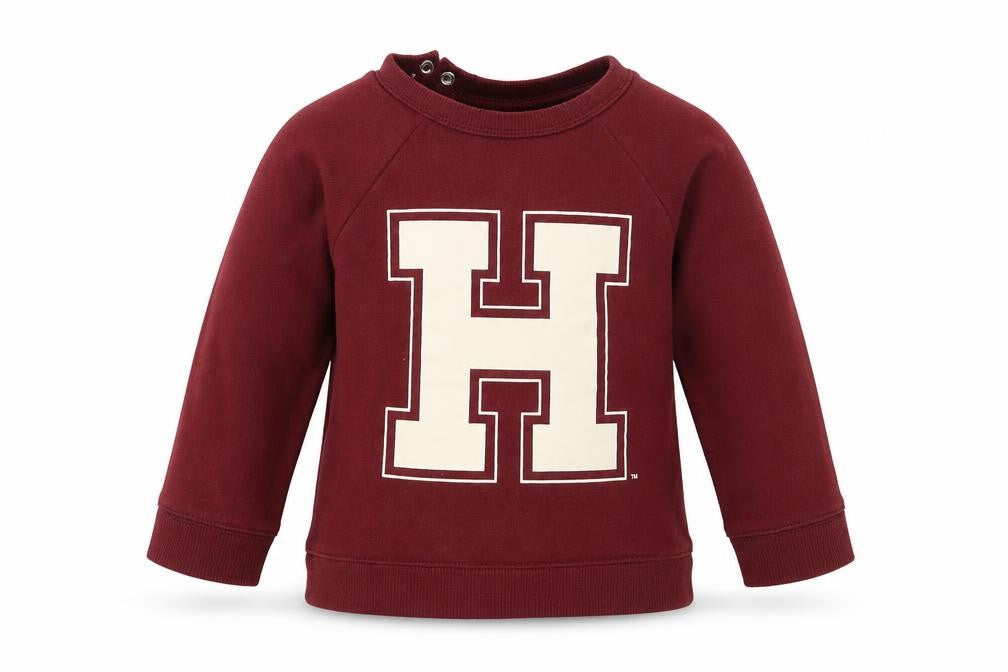 Preworn Boys Red   Pullover Sweatshirt Size 2-3 Years  - Harry Potter