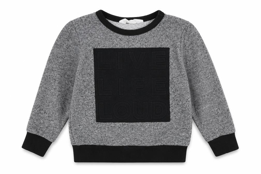 H&M Boys Grey   Pullover Jumper Size 3-4 Years