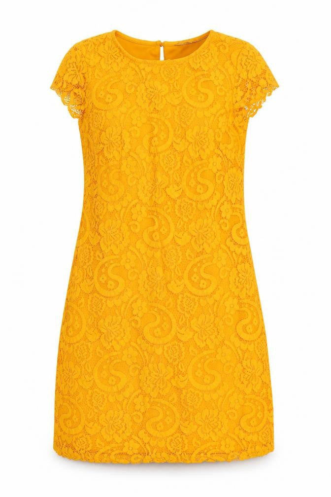 Dorothy Perkins Womens Orange   A-Line  Size 6