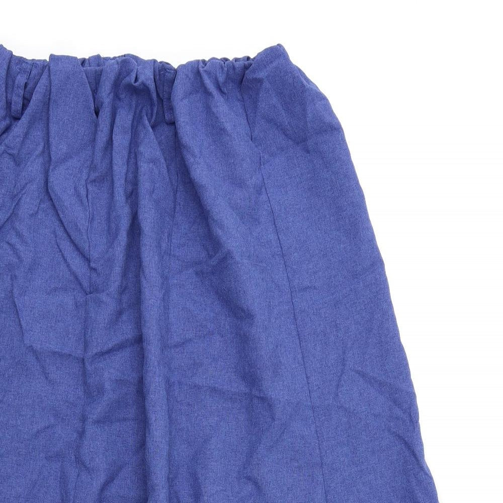 Preworn Womens Blue   Pleated Skirt Size 36 in