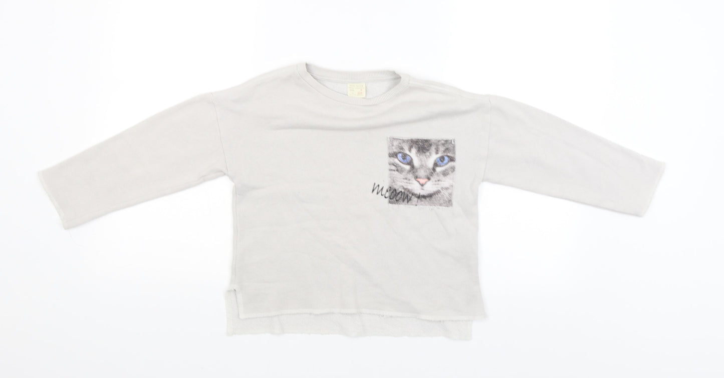 Zara Womens Grey   Pullover Jumper Size 6  - Cat