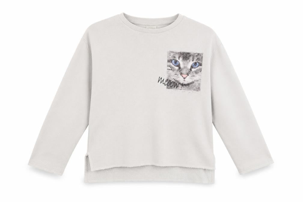 Zara Womens Grey   Pullover Jumper Size 6  - Cat