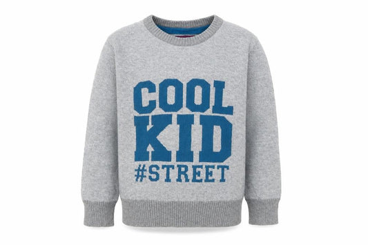 LABEL Boys Grey   Pullover Sweatshirt Size 2-3 Years