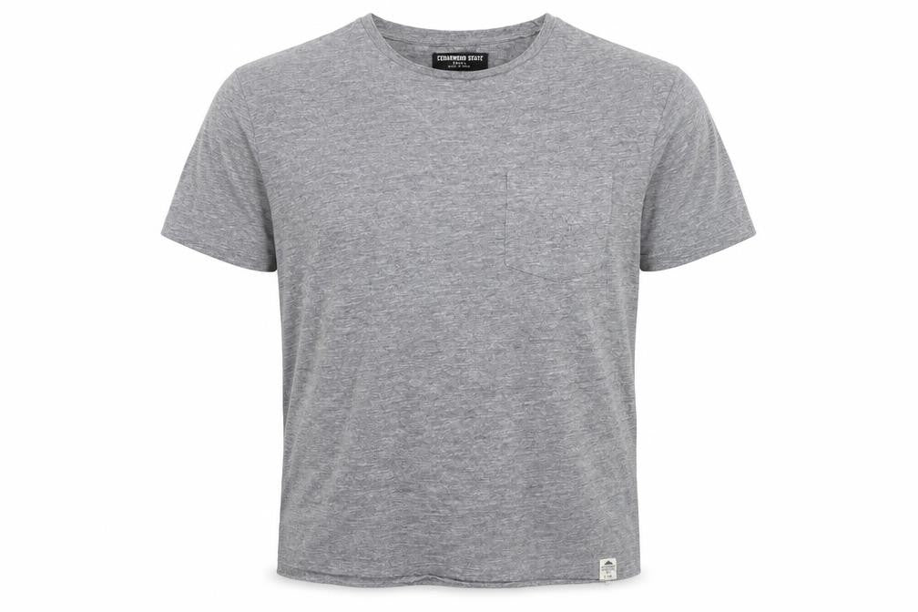 Cedarwood State Mens Grey T-Shirt Size S - washable mark
