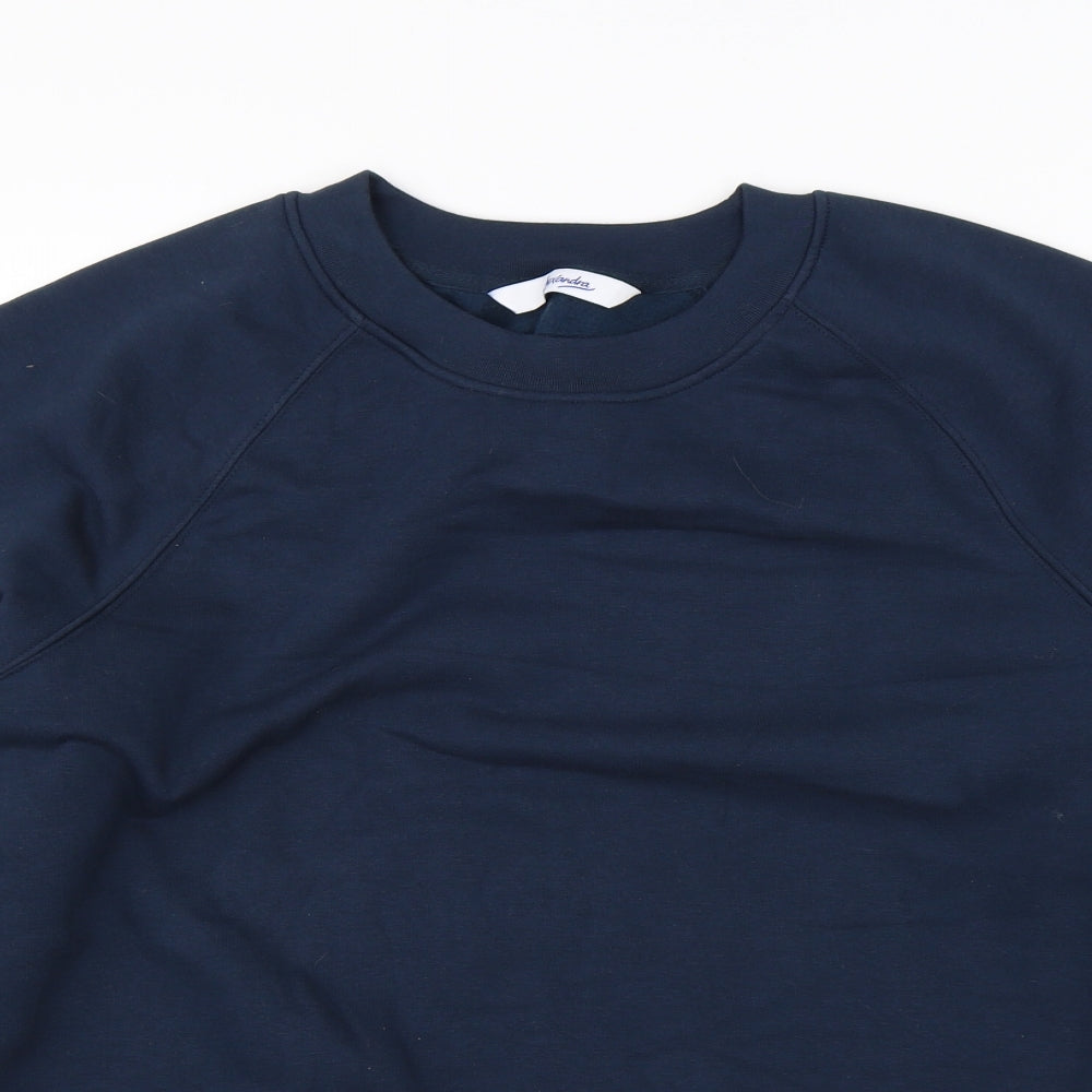 Alexandra Mens Blue   Pullover Sweatshirt Size M