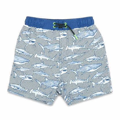 Ru Boys Blue Spotted  Cargo Shorts Size 7 Years - shark print