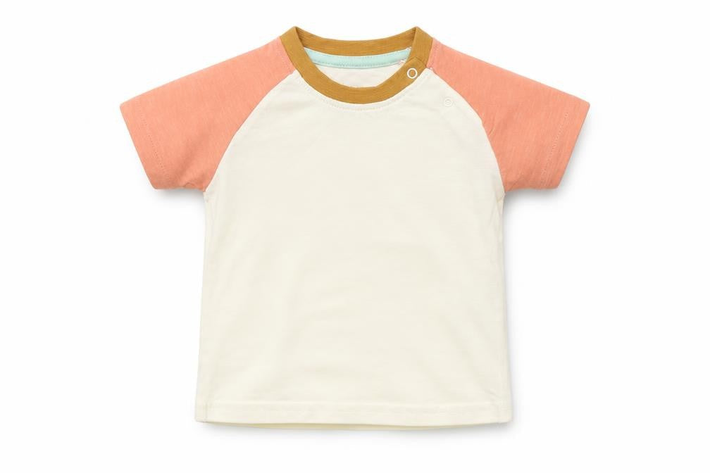 Primark Boys Multicoloured   Basic T-Shirt Size 3-6 Months