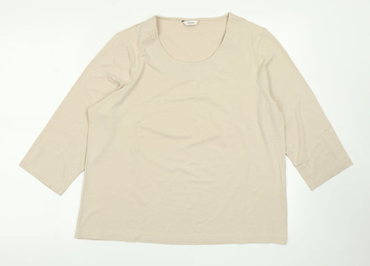 Classic Womens Brown   Basic T-Shirt Size 18