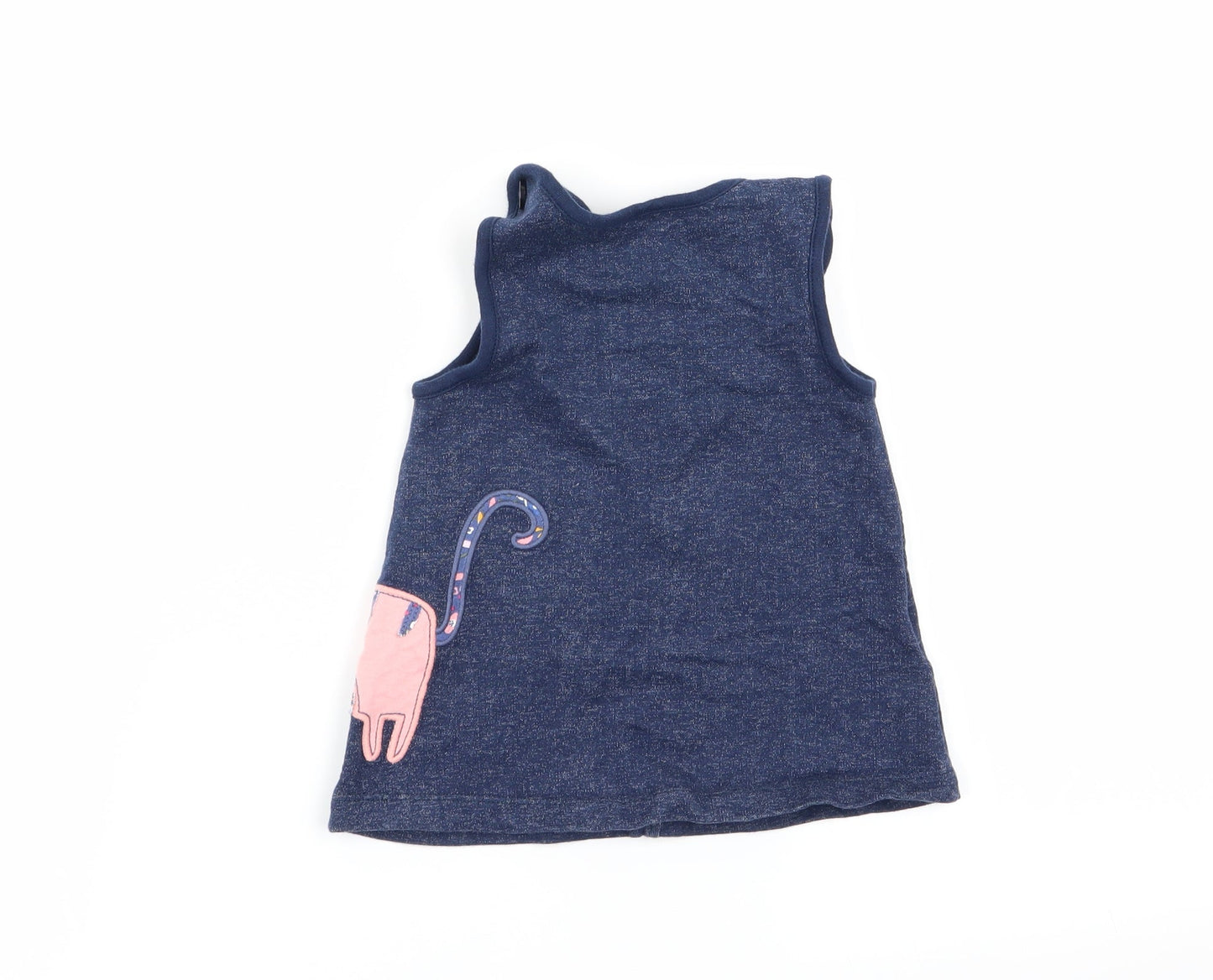 bluezoo Girls Blue   Fit & Flare  Size 3-6 Months