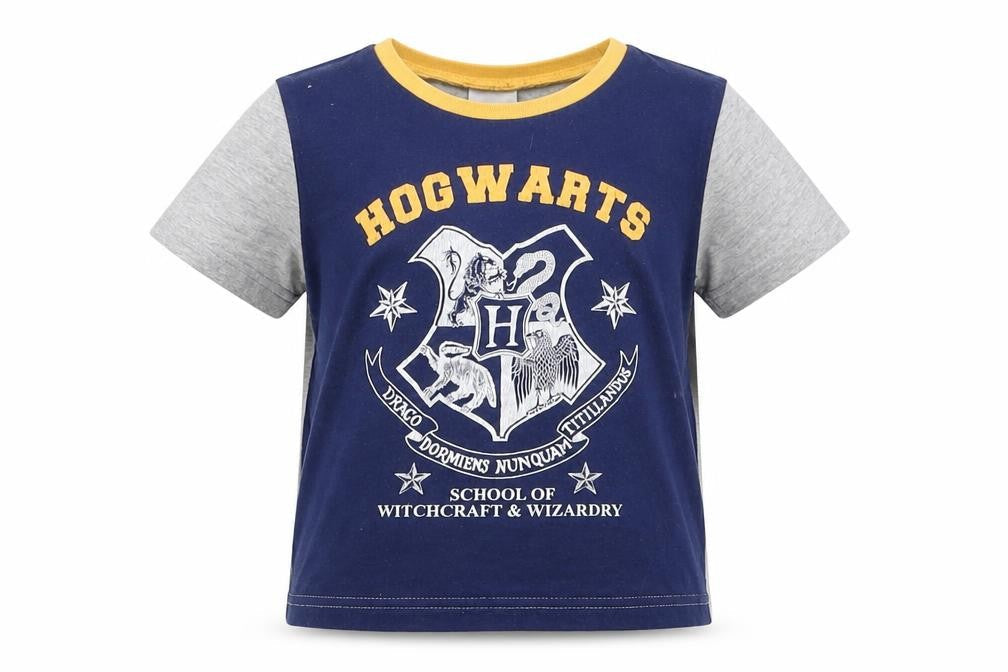 Preworn Boys Blue   Basic T-Shirt Size 3-4 Years  - Harry Potter Hogwarts