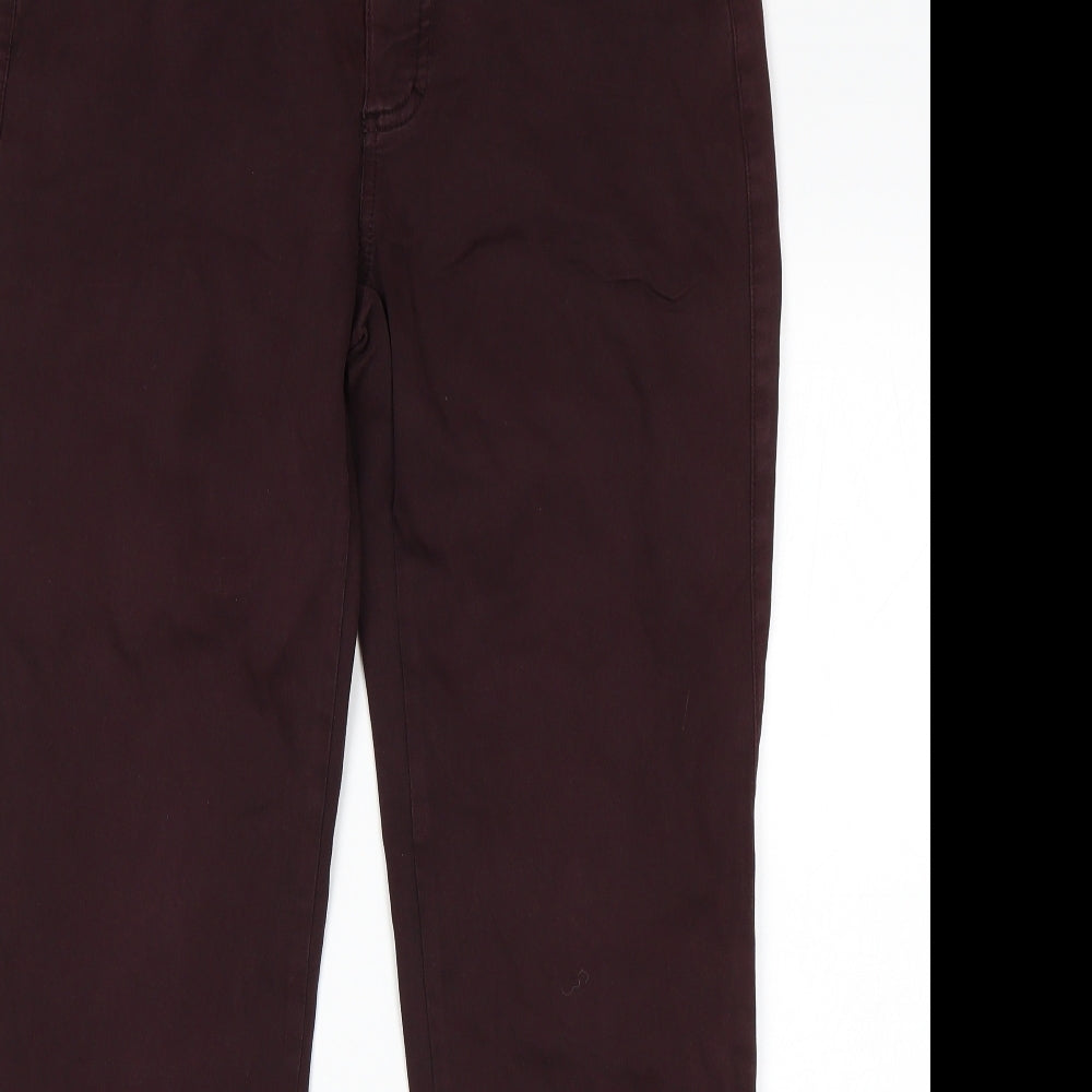 Preworn Womens Purple   Skinny Jeans Size 34 in L29 in