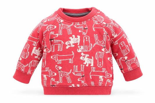 Front view of Nutmeg boys’ orange animal print jumper, size 0-3, months