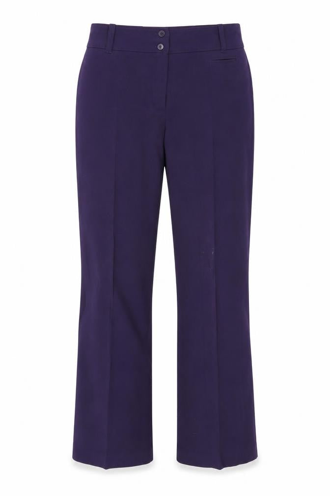 Witteveen Womens Purple   Trousers  Size 16 L20 in