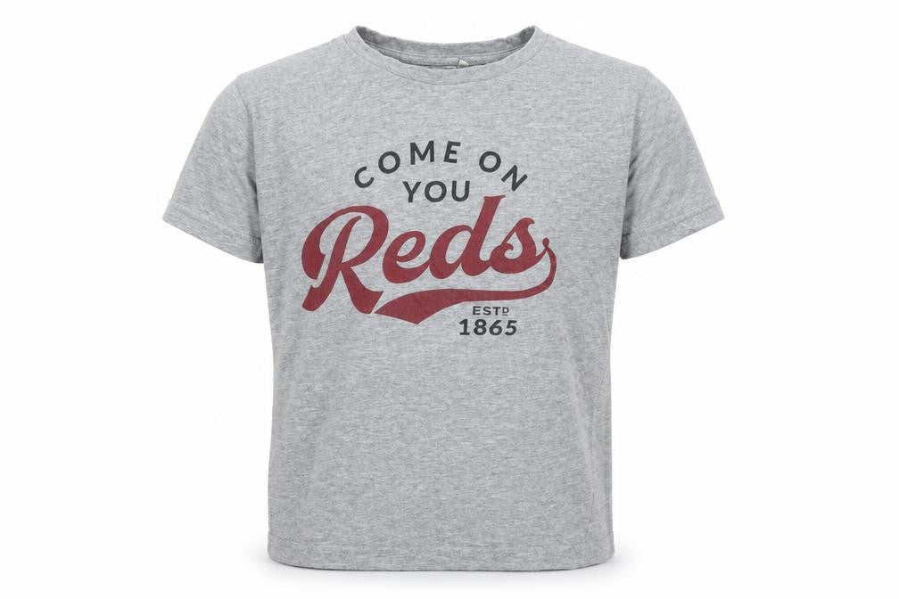 SOL'S Boys Grey   Basic T-Shirt Size 10 Years